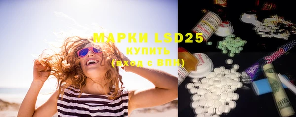 PSILOCYBIN Богородицк