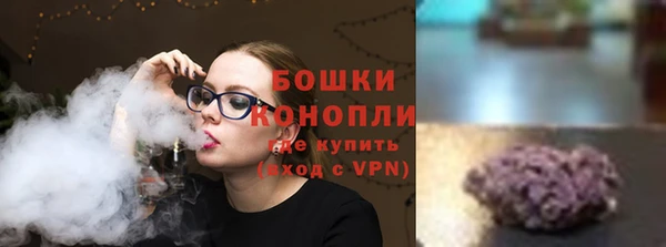 PSILOCYBIN Богородицк