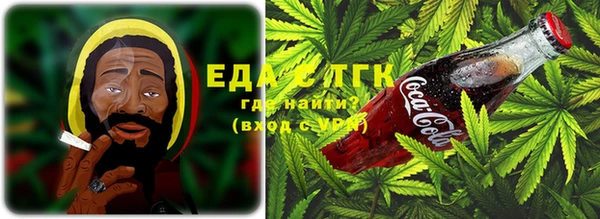 PSILOCYBIN Богородицк