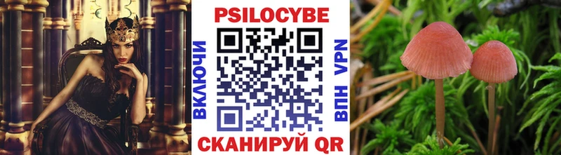 мега ТОР  Чегем  Псилоцибиновые грибы Cubensis 