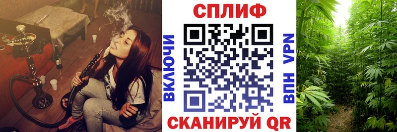 Бошки Шишки индика  Чегем 